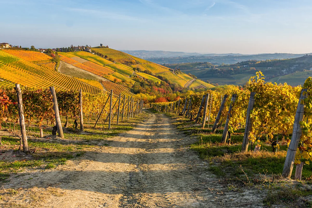 Strada del Vino dell’Alto Monferrato: tre percorsi golosi per una gita d’autunno
