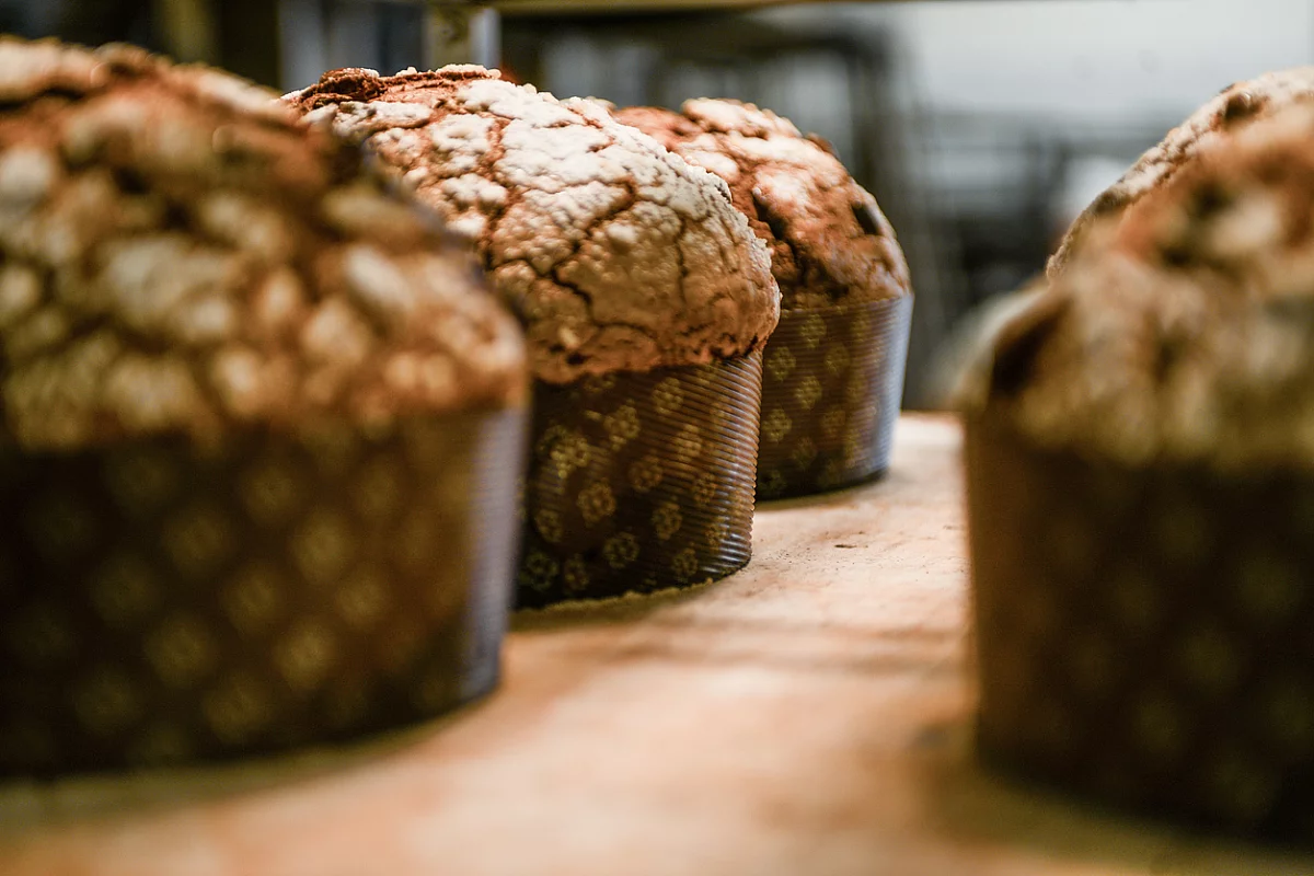 panettone veneziana venezia