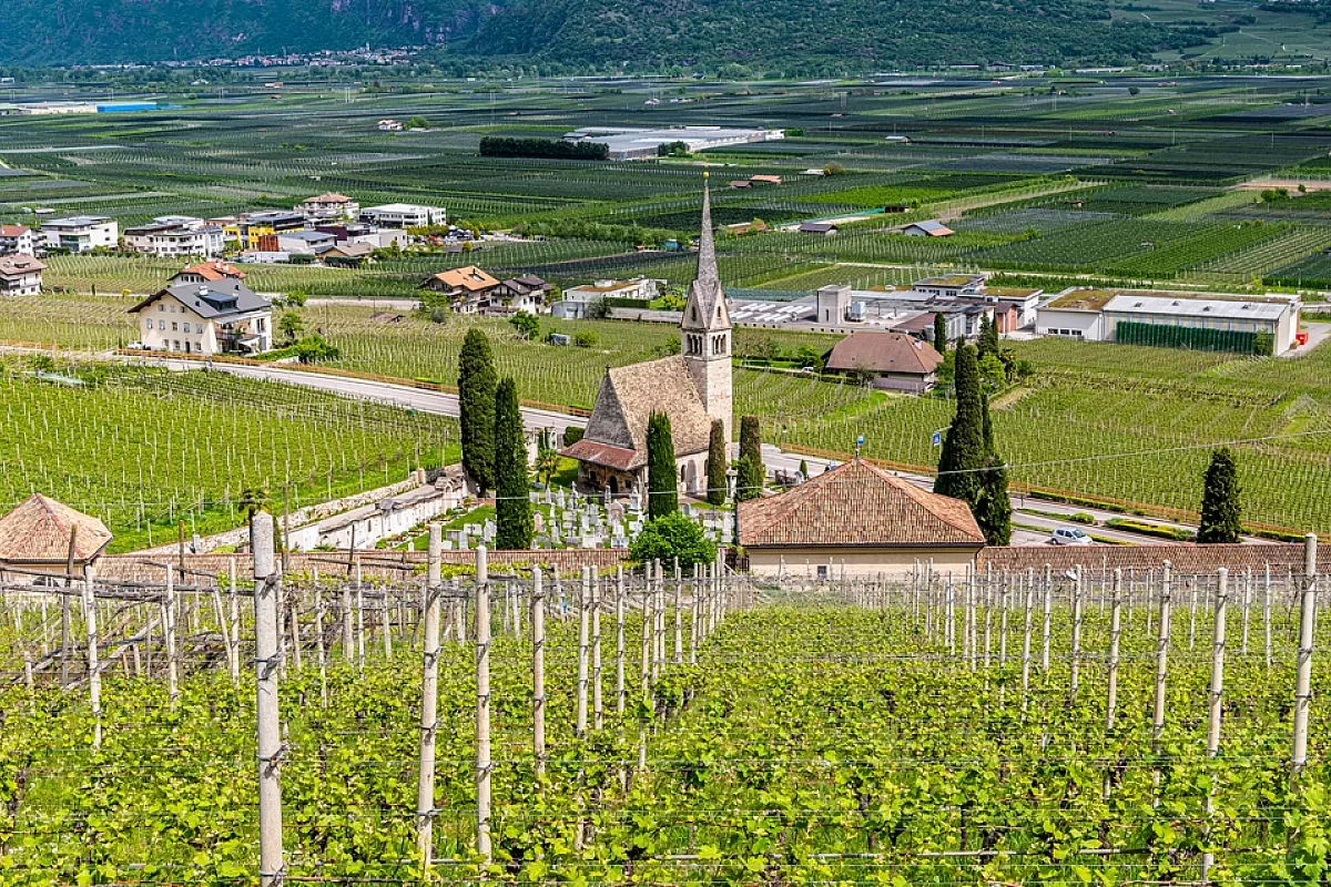 Tramin,Village