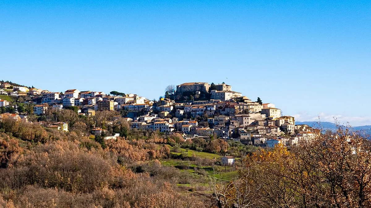 avellino
