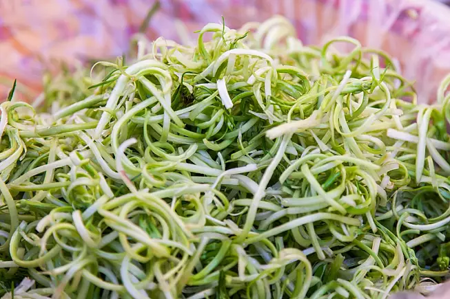 puntarelle