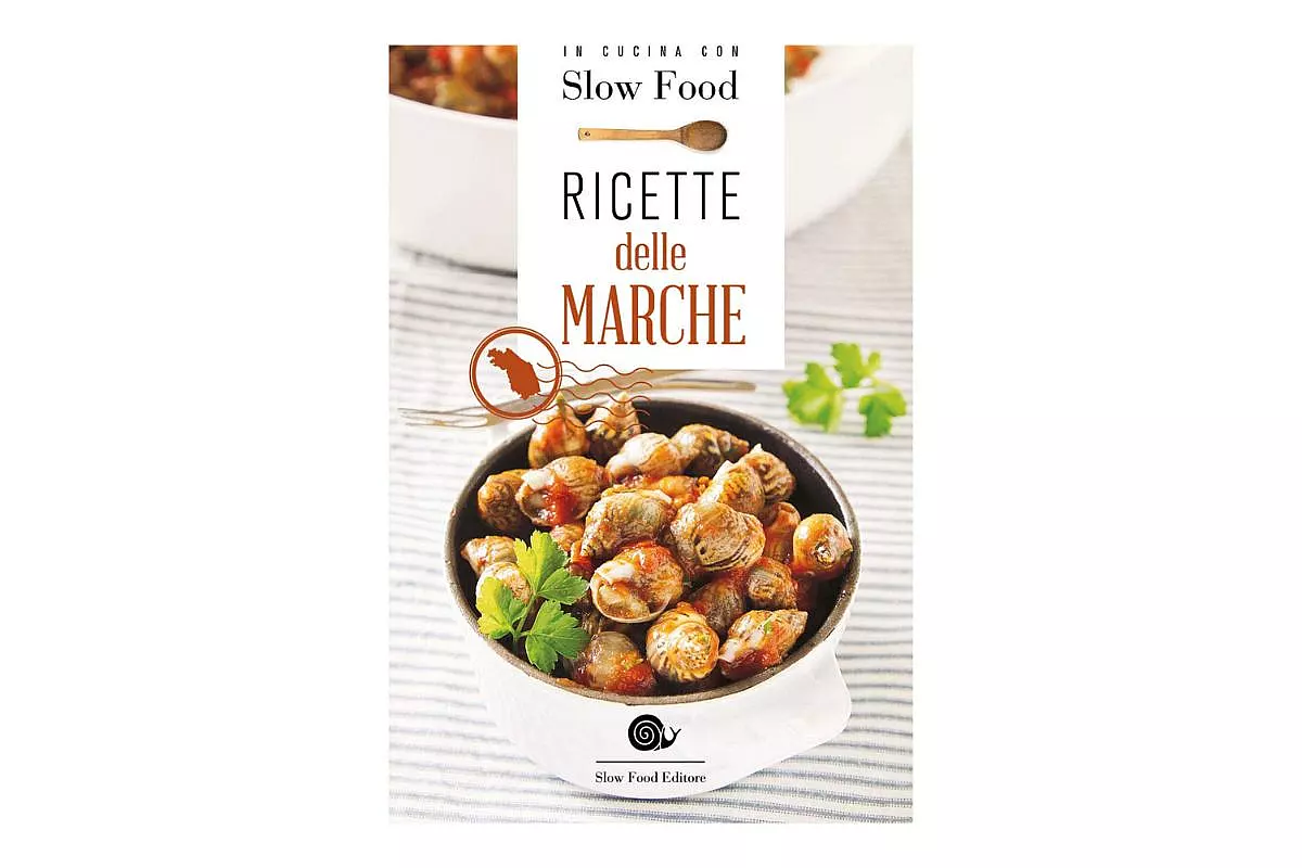 Libro Ricette delle Marche