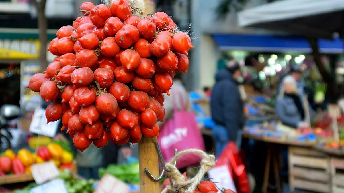 Pomodorino del Piennolo