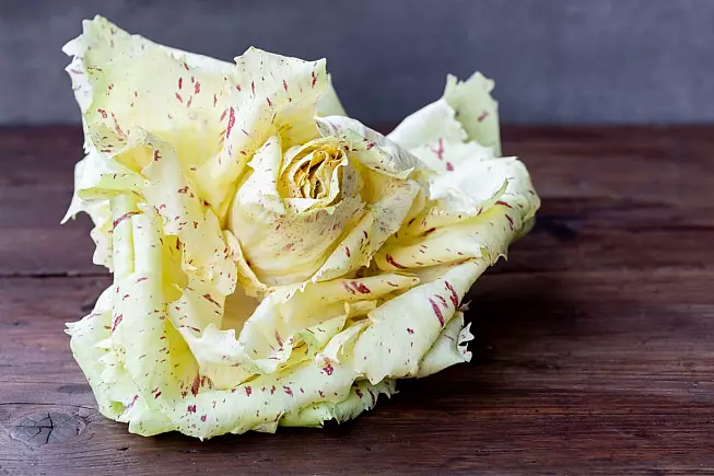 Radicchio Variegato di Castelfranco Veneto