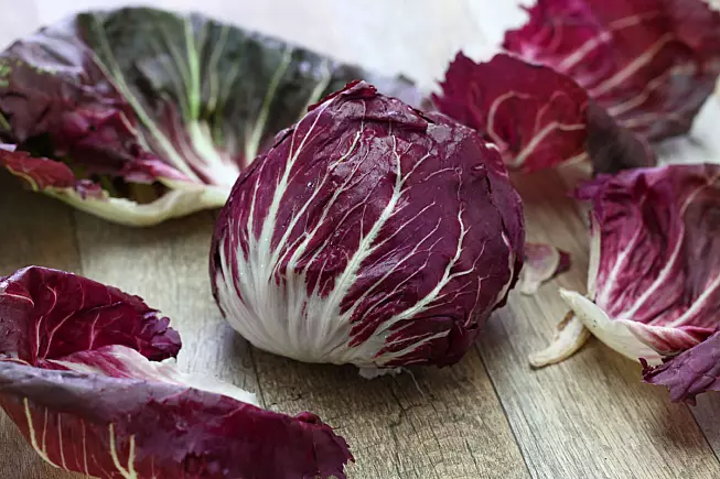 Radicchio di Chioggia