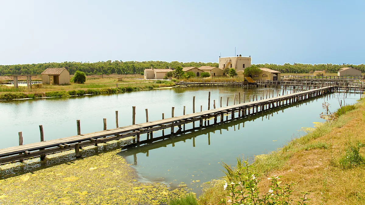 Cabras in Sardegna, patria della bottarga di muggine