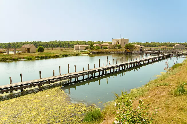 Cabras in Sardegna, patria della bottarga di muggine