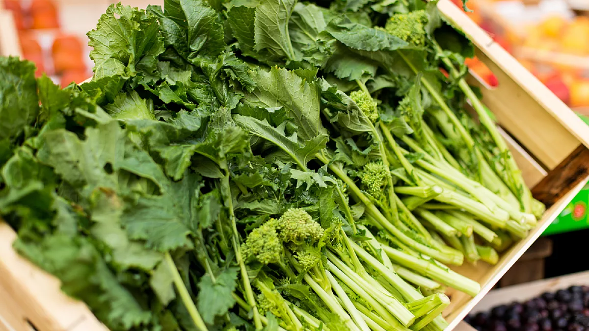 Friarielli, broccoletti e cime di rapa, cosa sapere