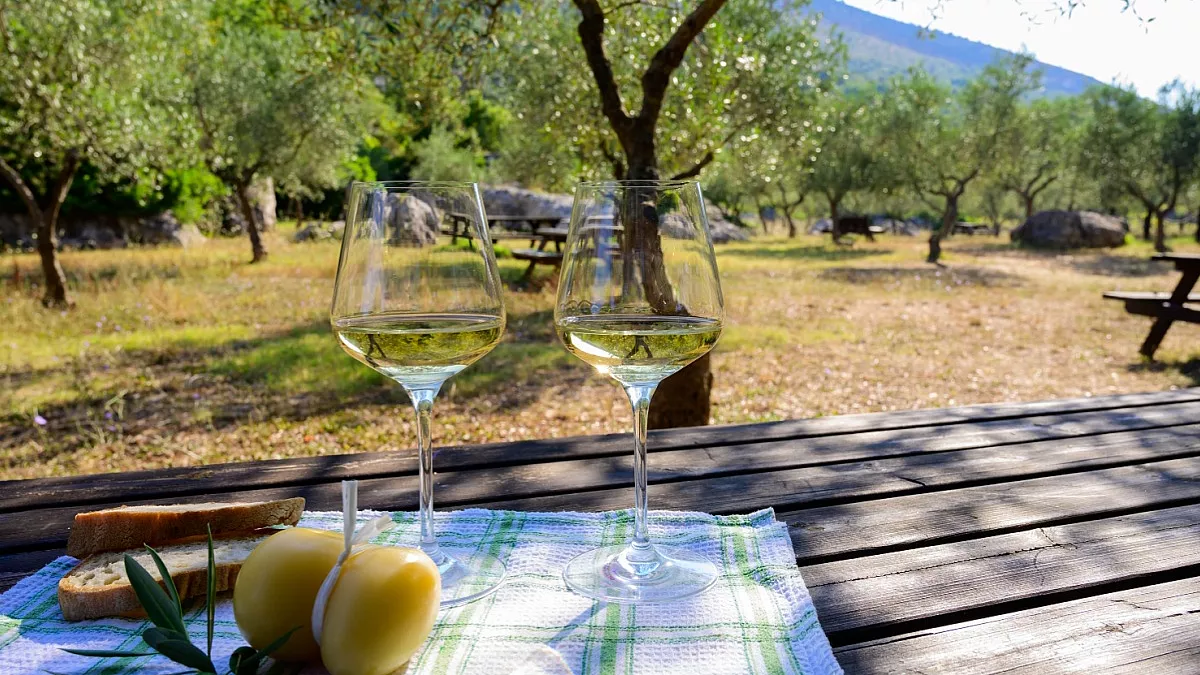 mangiare-tra-gli-ulivi