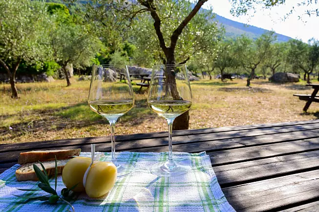 mangiare-tra-gli-ulivi