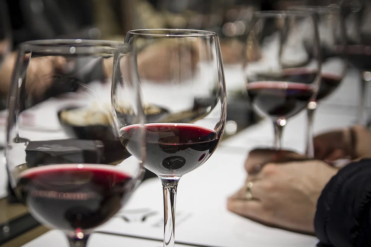 Sassicaia vino più costoso al mondo