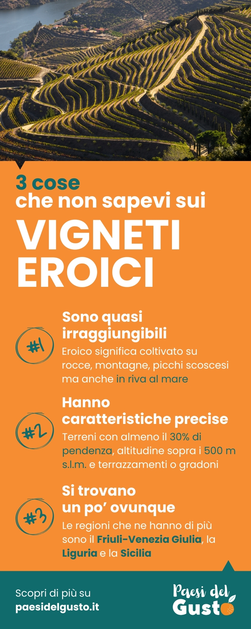 Vini eroici infografica