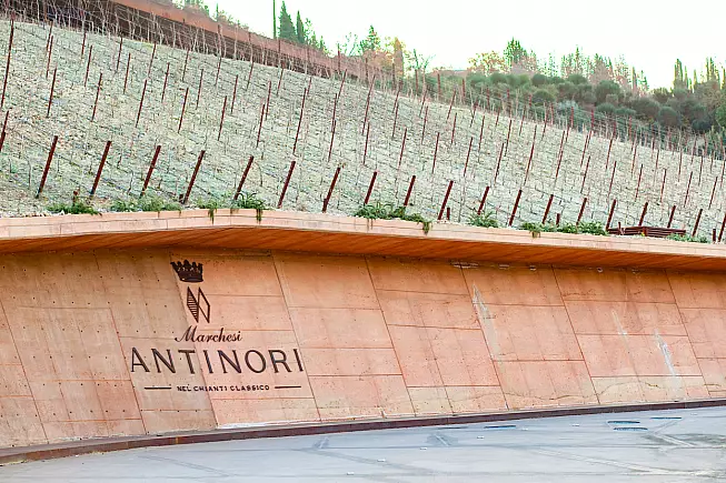 Antinori, ph. Antonio Gravante, Istock.com/Solo uso editoriale
