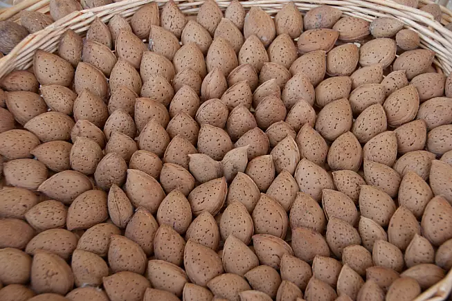 Mandorla di Toritto
