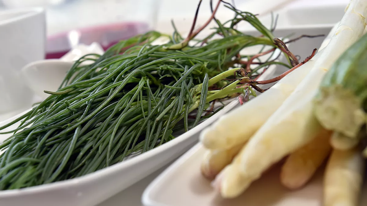 Agretti, verdura di primavera e contorno