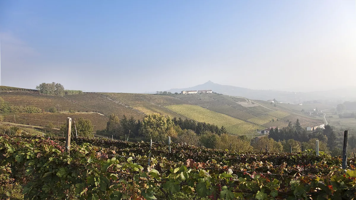 Vini Piemonte, provincia di Asti