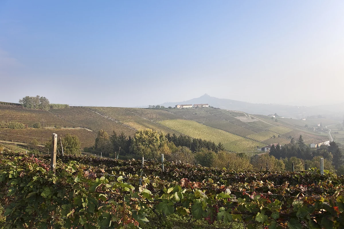 Vini Piemonte, provincia di Asti