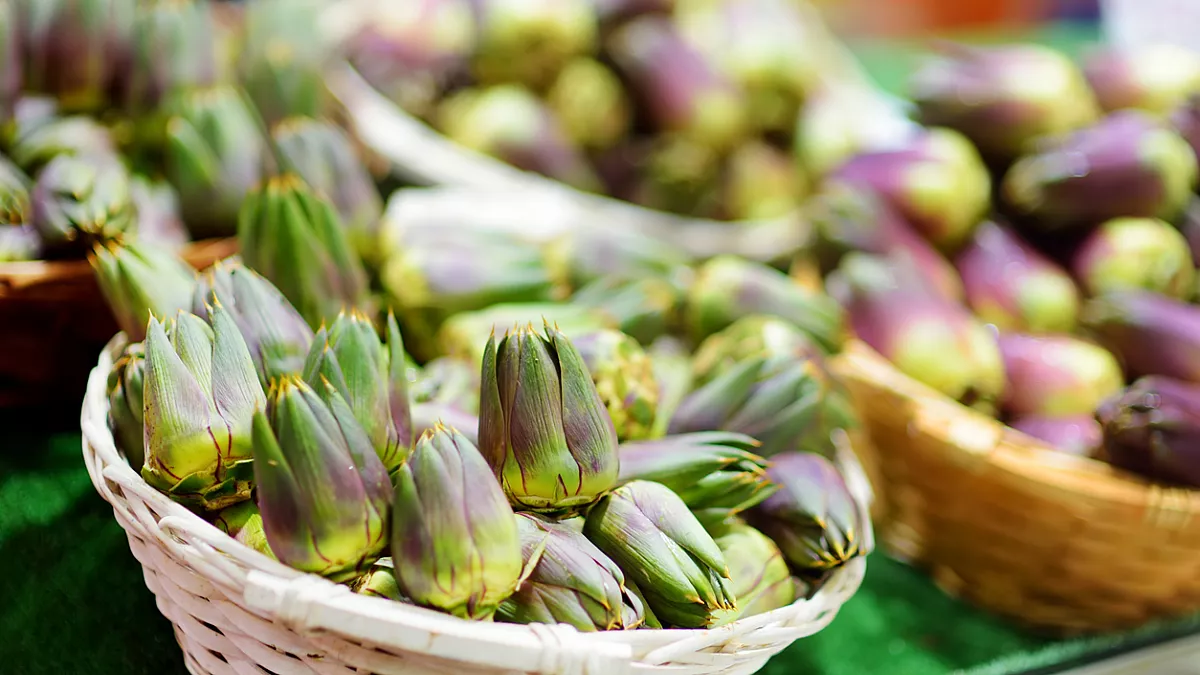 Carciofi, informazioni e cosa sapere
