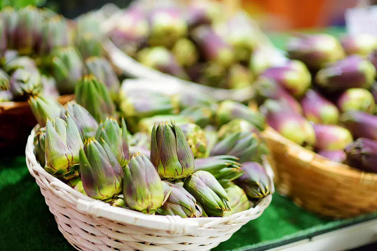 Carciofi, informazioni e cosa sapere