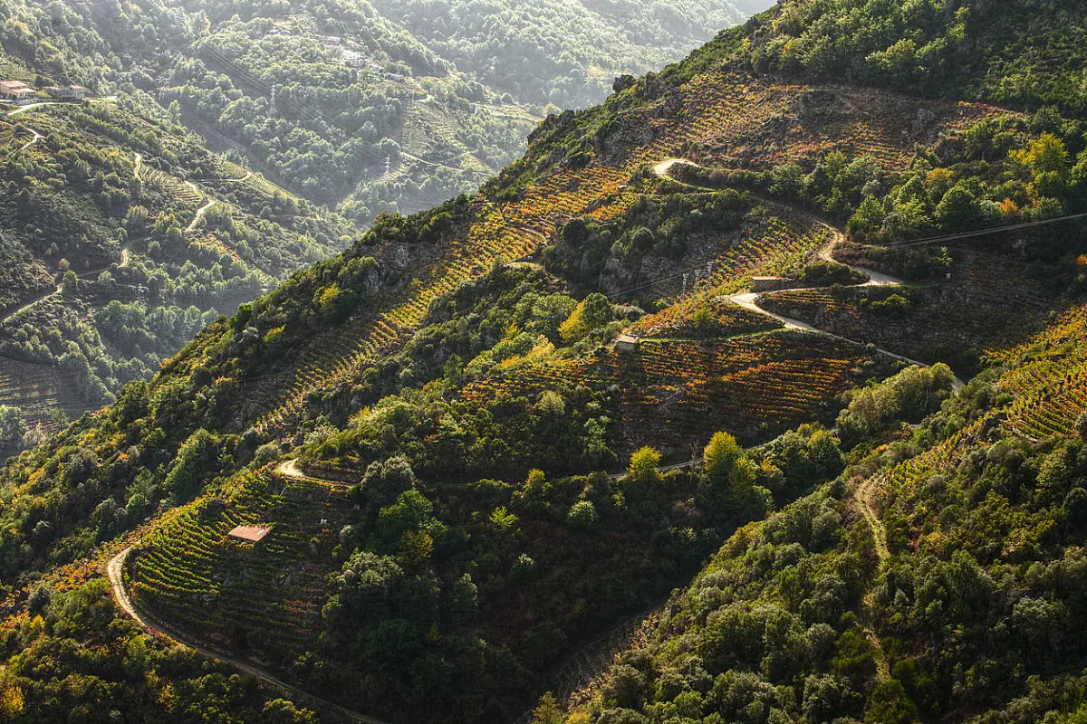 paesaggio galiziano