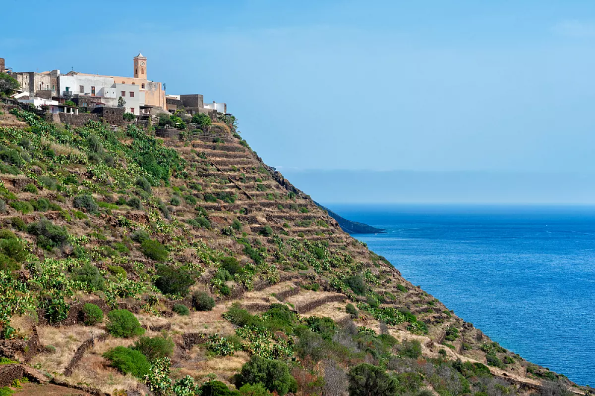 Pantelleria, olio