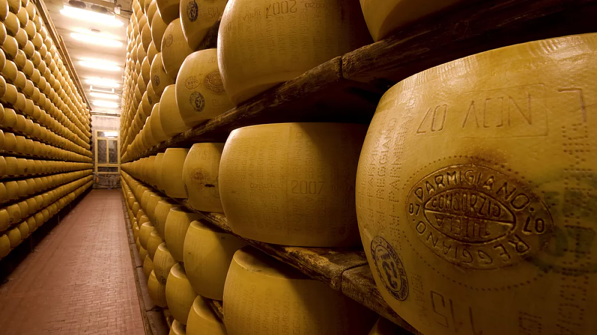 Parmigiano Reggiano, Caseifici Aperti