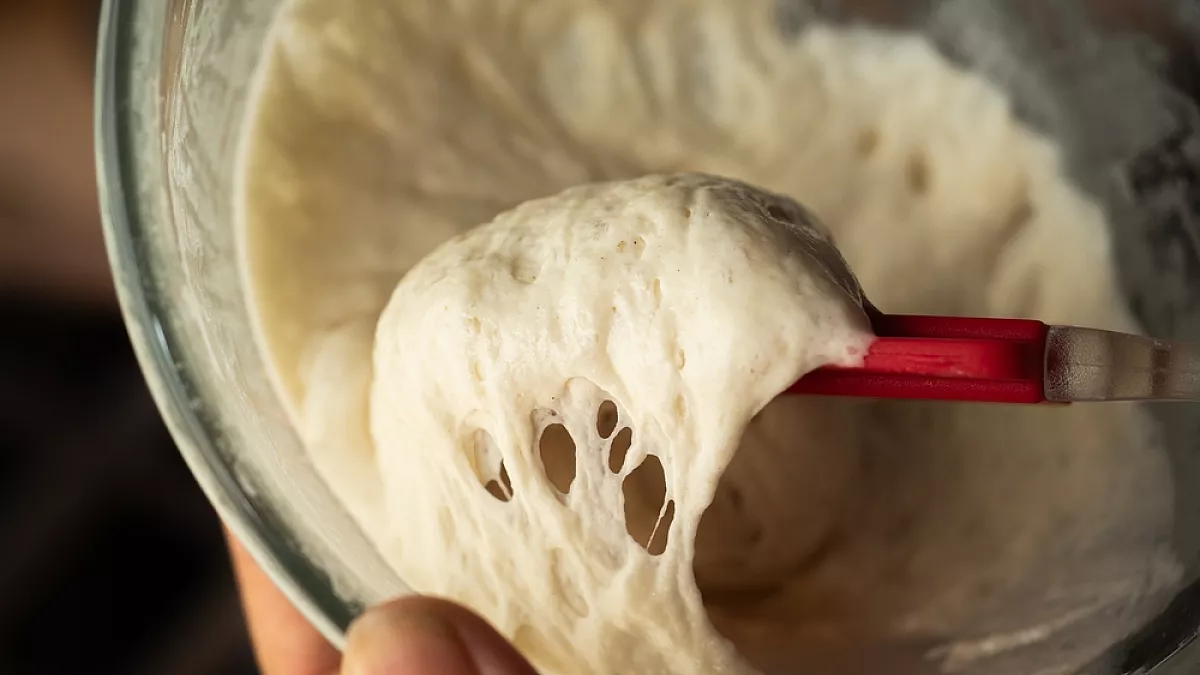 Pasta madre, lievito madre