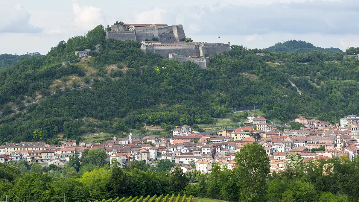 Azienda Agricola Simone Barisone, Gavi