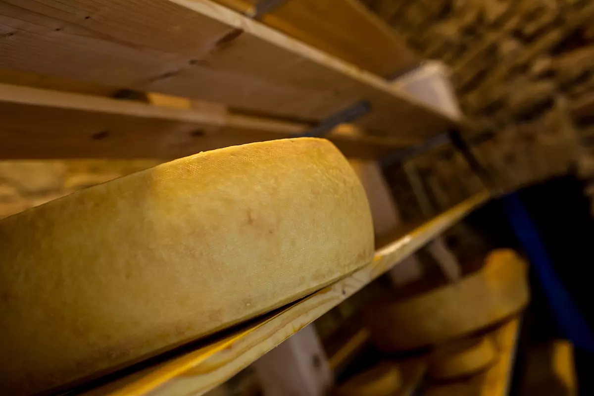 stagionatura del formaggio