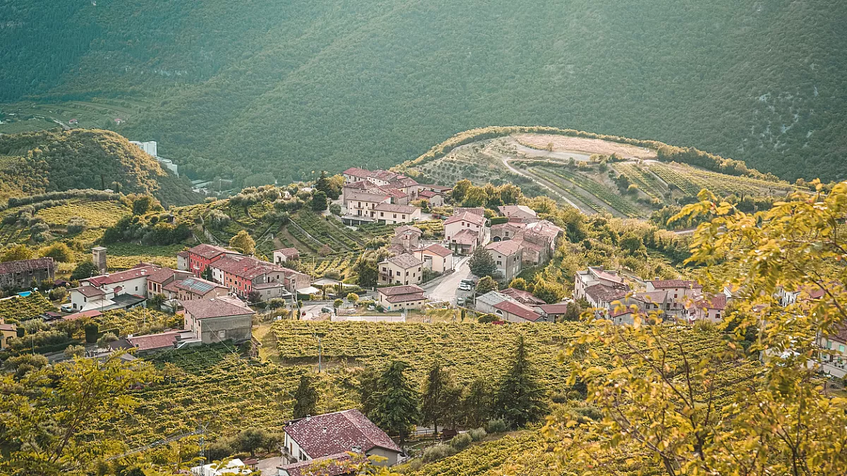 Valpolicella 