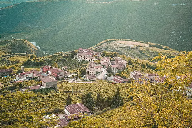 Valpolicella 