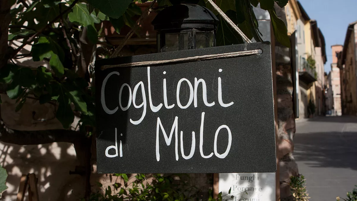 Coglioni di mulo