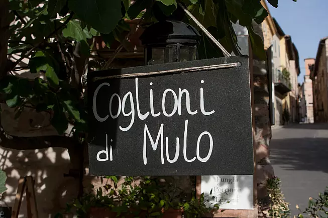 Coglioni di mulo