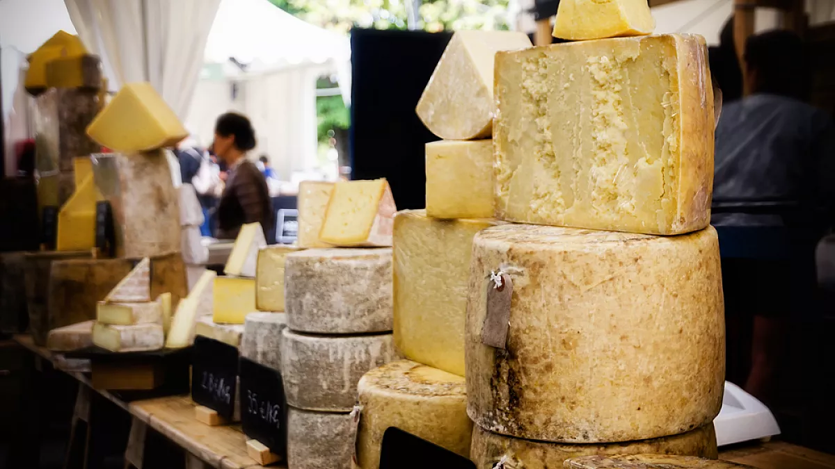 Formaggi del Piemonte, 4 da provare