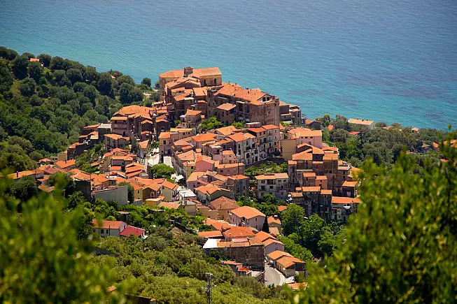 Pisciotta