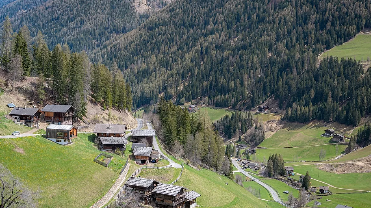 Masi in Alto Adige