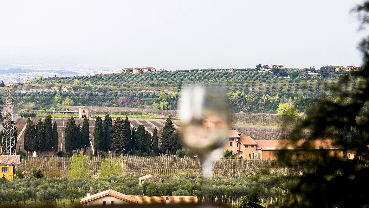 Azienda Casigliano