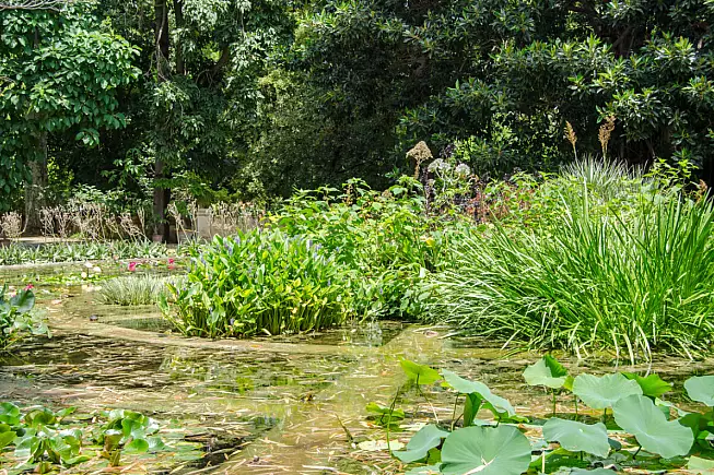giardino botanico, Palermo