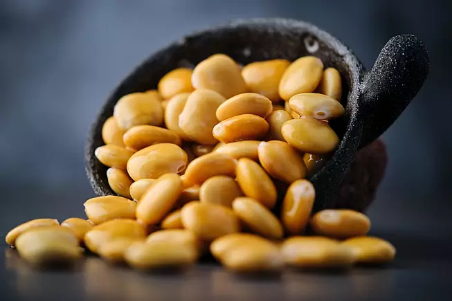 Lupino gigante di Vairano