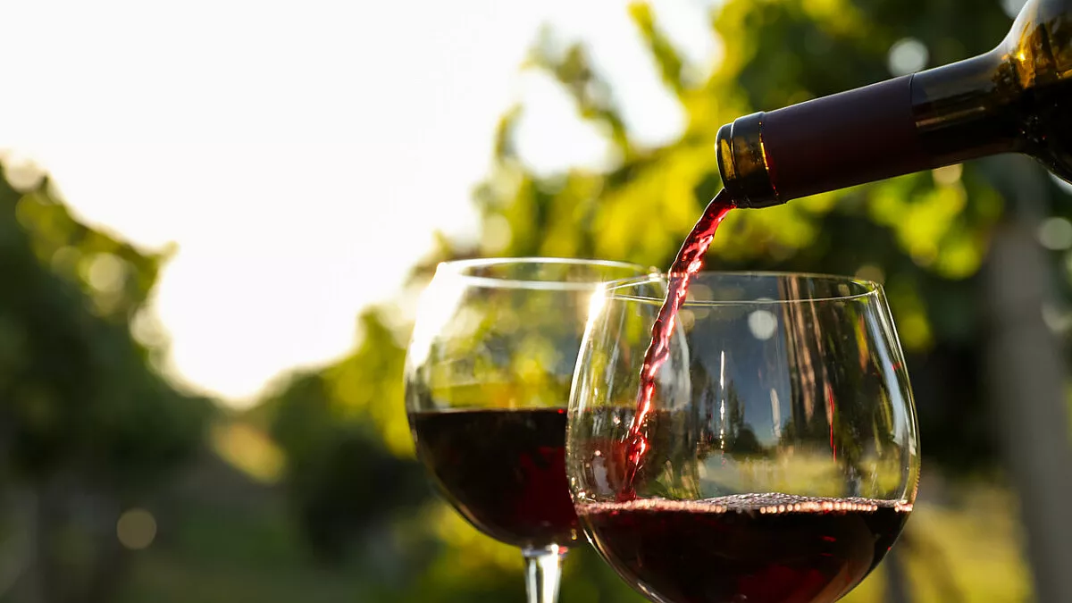 Vini Ferretti. Monferrato Astigiano