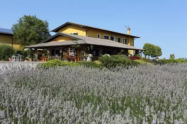 Cantina I Magredi