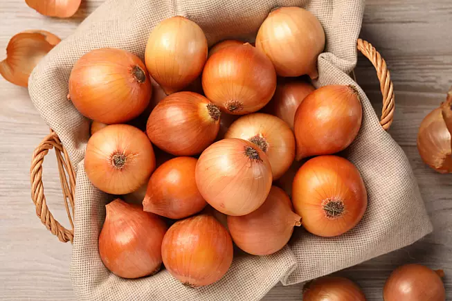 Cipolla di Vatolla