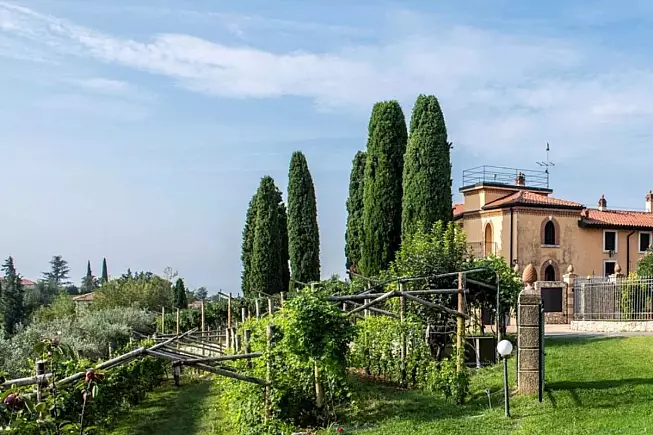 Mezzo Ettaro, cantina della Valpolicella