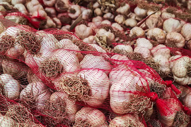 Aglio di Vessalico