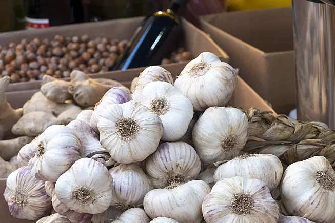 Aglio di Vessalico