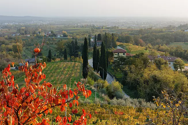 Soleschiano di Manzano, vista dall'abbazia di Rosazzo