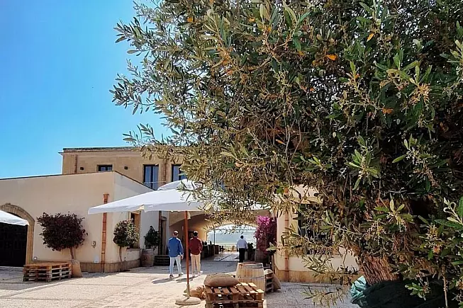 [foto copertina e nell'articolo da account Instagram @assuli.winery]