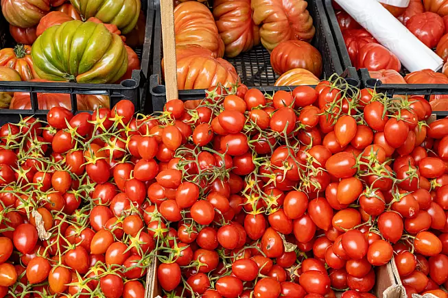 Pomodoro Pachino IGP,  Israele