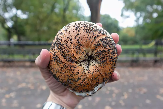 The Fig, Bagel