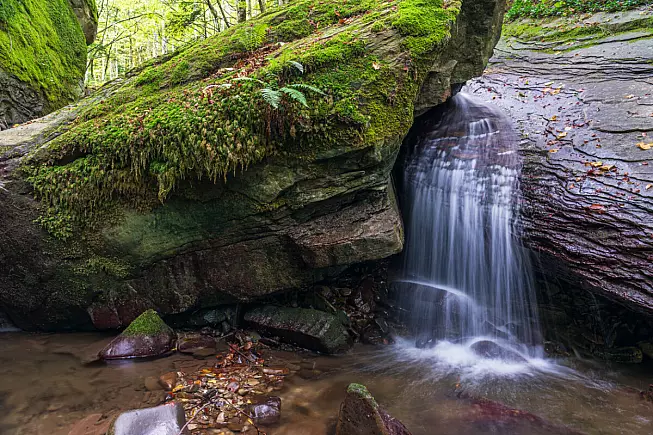Tortello alla lastra, Parco Nazionale delle Foreste Casentinesi